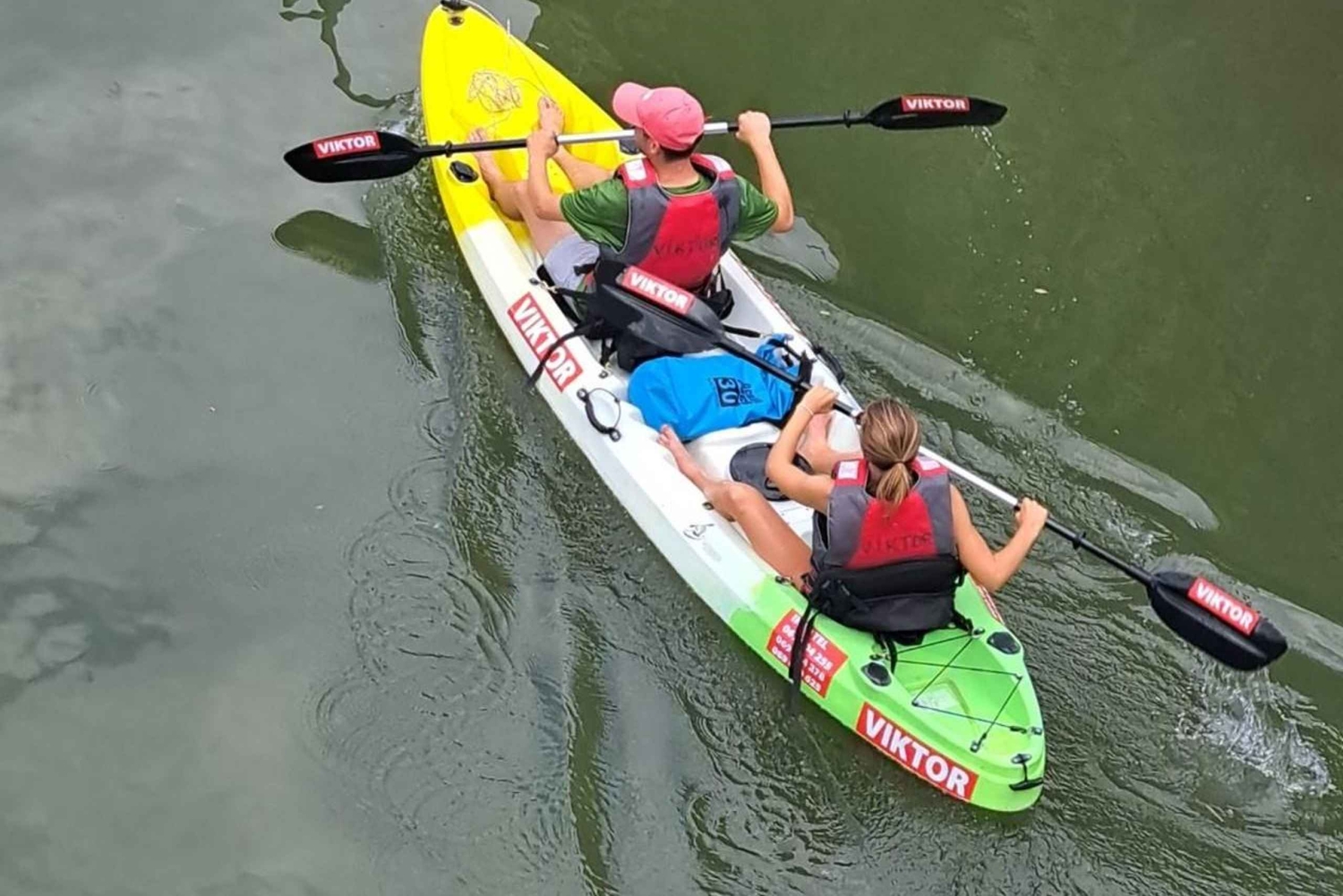 Skadar Lake kayak rent: A Journey Through Tranquility