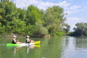 Skadar Lake kayak rent: A Journey Through Tranquility