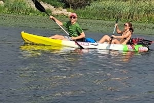 Skadar Lake kayak rent: A Journey Through Tranquility