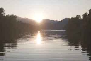 Skadar Lake kayak rent: A Journey Through Tranquility