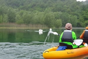 ༄ Explore Skadar Lake: SUP & Kayak Rentals in Montenegro