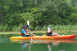 ༄ Explore Skadar Lake: SUP & Kayak Rentals in Montenegro