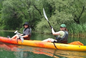 ༄ Explore Skadar Lake: SUP & Kayak Rentals in Montenegro