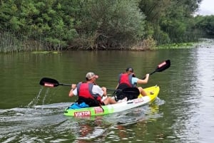 Skadar Lake kayak tour: A Journey Through Tranquility