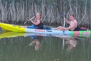 Skadar Lake kayak tour: A Journey Through Tranquility