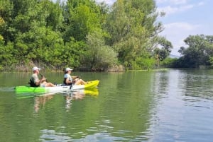 Skadar Lake kayak tour: A Journey Through Tranquility