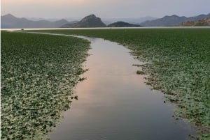 Skadar Lake kayak tour: A Journey Through Tranquility