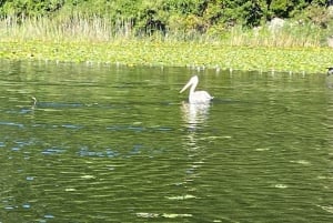 Skadar Lake kayak tour: A Journey Through Tranquility