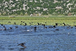 Skadar Lake kayak tour: A Journey Through Tranquility