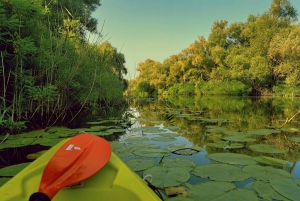 Skadar Lake National Park: Eco-friendly Kayak Adventure