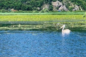 Skadar Lake Nature Cruise with Free Drinks