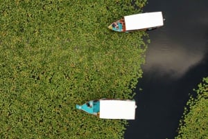 Skadar Lake Nature Cruise with Free Drinks