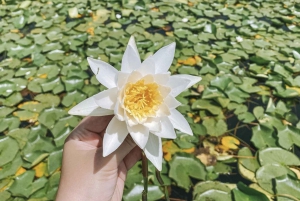 Virpazar: Skadar Lake Guided Nature Cruise with Drinks
