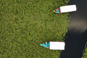 Virpazar: Skadar Lake Guided Nature Cruise with Drinks