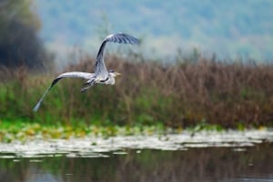 Skadar Lake Private Boat Tour with Wine Tasting