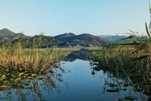 Skadar Lake Private Boat Tour with Wine Tasting