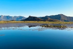 Skadar Lake Private Boat Tour with Wine Tasting