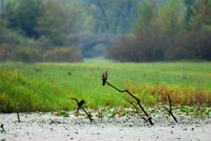 Skadar Lake Private Boat Tour with Wine Tasting