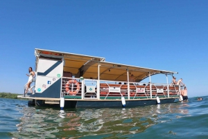 Skadar Lake: Sip&Sail Wine Tasting Boat Tour