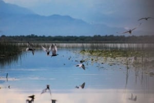 Stand Up Paddleboard on Skadar Lake - An Epic Adventure !