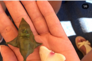 SUNSET/SUNRISE PRIVATE BOAT TOUR ON SKADAR LAKE (2H)