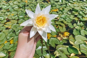 SUNSET/SUNRISE PRIVATE BOAT TOUR ON SKADAR LAKE (2H)