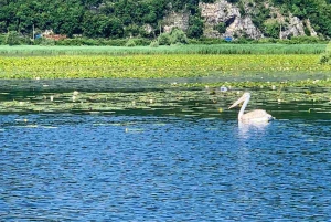 SUNSET/SUNRISE PRIVATE BOAT TOUR ON SKADAR LAKE (2H)