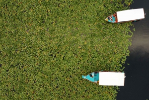 SUNSET/SUNRISE PRIVATE BOAT TOUR ON SKADAR LAKE (2H)