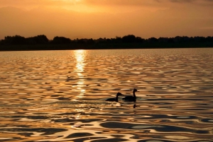 SUNSET/SUNRISE PRIVATE BOAT TOUR ON SKADAR LAKE (2H)