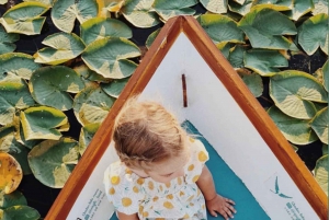 SUNSET/SUNRISE PRIVATE BOAT TOUR ON SKADAR LAKE (2H)