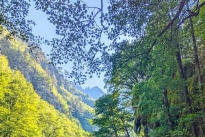 Tara Canyon: 3-Day Private Canoe Expedition