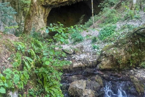 Tara Canyon: 3-Day Private Canoe Expedition