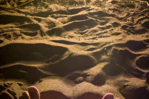 Tara Canyon: 3-Day Private Canoe Expedition