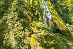 Tara Canyon: 3-Day Private Canoe Expedition