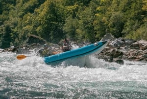 Tara Canyon: Canoe Adventure with Picnic and Photos