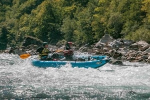 Tara Canyon: Canoe Adventure with Picnic and Photos