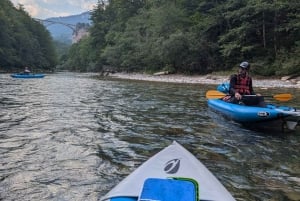 Tara Canyon: Canoe Adventure with Picnic and Photos