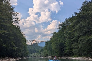 Tara Canyon: Canoe Adventure with Picnic and Photos
