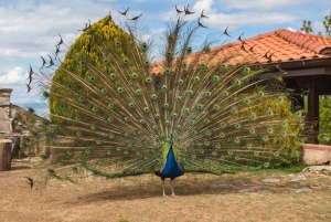 The Balkan Tour – 5 Countries in 6 Days from Tirana, Albania