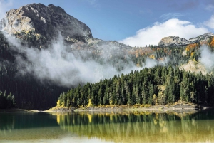 Montenegro: Black Lake and Tara Canyon Day Trip