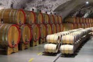The largest winery in Montenegro: private tour & transport