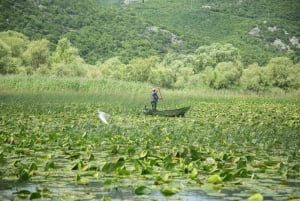 The Wild Route – Skadar’s Hidden Amazon