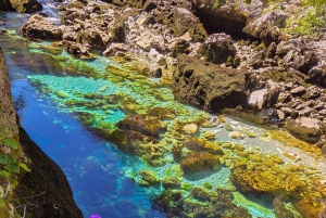 Thrilling Adventure in Piva Canyon Via Ferrata