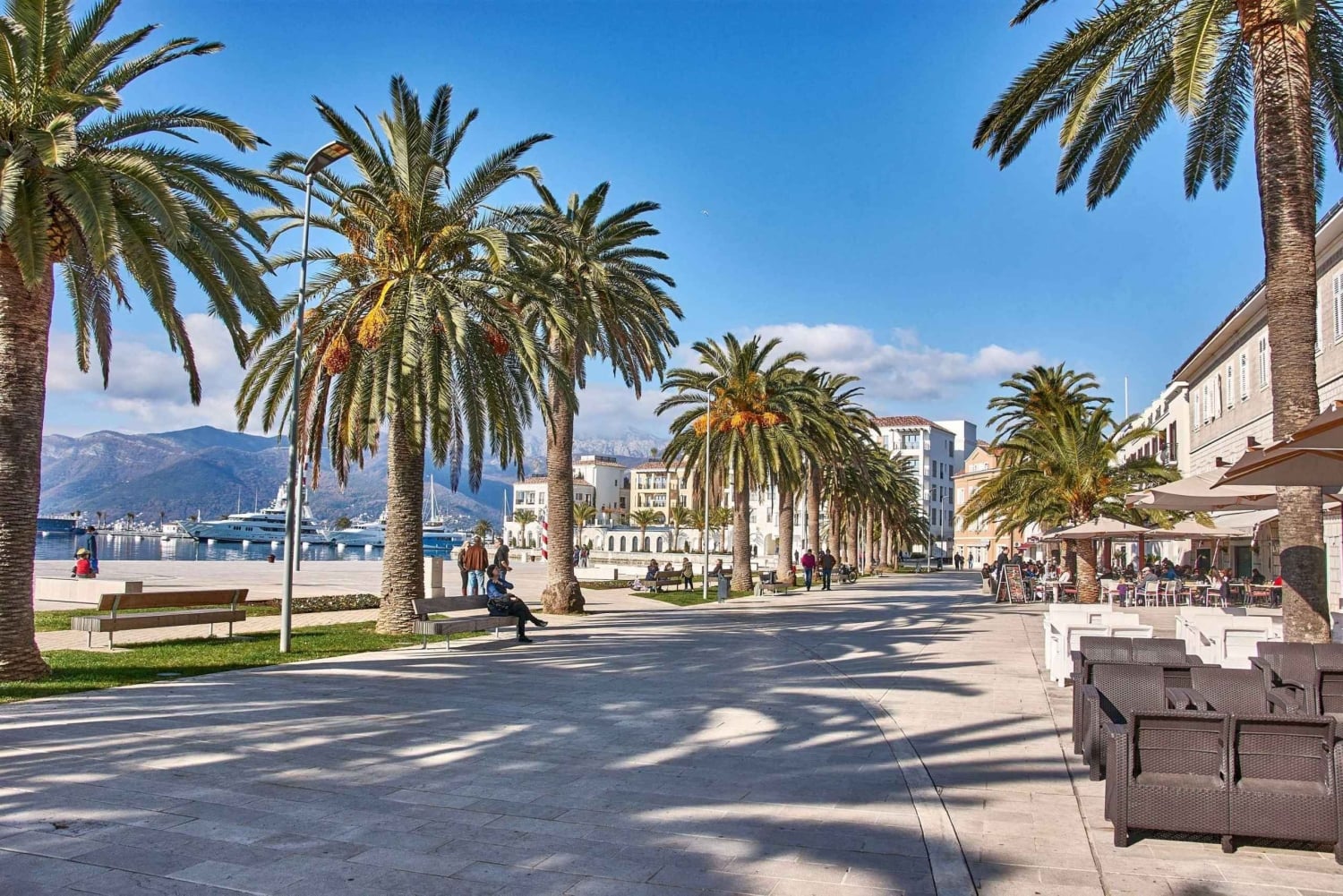 Tivat private tour from Kotor