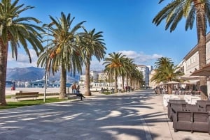 Tivat private tour from Kotor