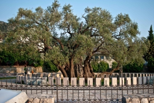 Town of Bar: Old Town Heritage Tour and Olive Oil Tasting
