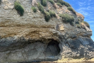 Ulcinj: Adriatic Sea Boat Tour with Fish Picnic