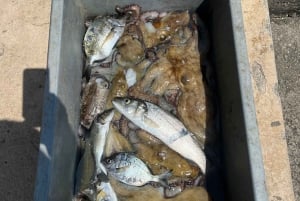 Ulcinj: Adriatic Sea Boat Tour with Fish Picnic