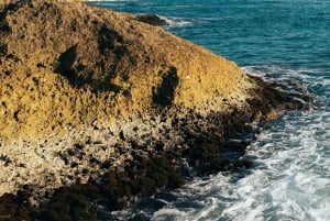 Ulcinj: Healing Women’s Beach Experience