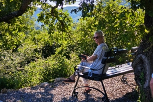 Unique gastro experience with locals in hills above Budva!